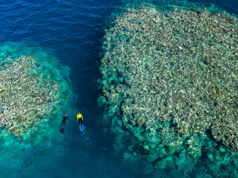 Explore the Great Barrier Reef